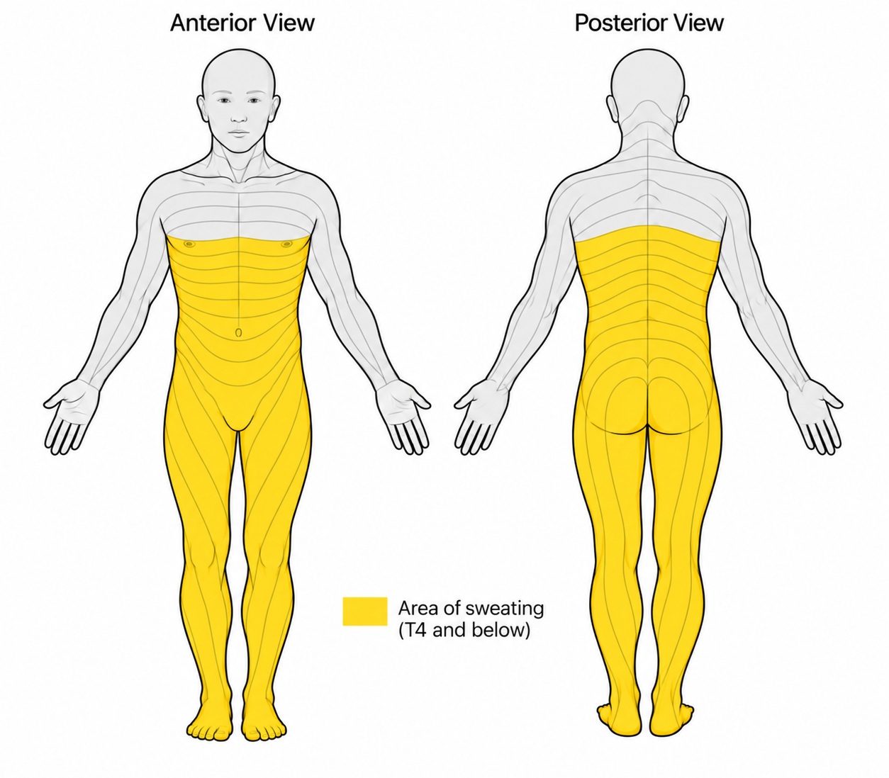 Figure 1.jpg